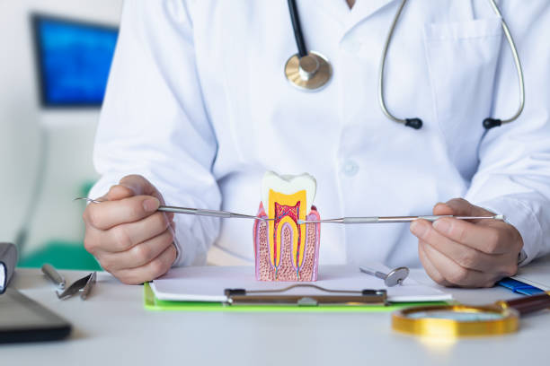Best Emergency Denture Repair in Hanover, IN